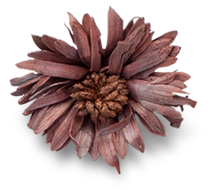 Dried Flower Cutout